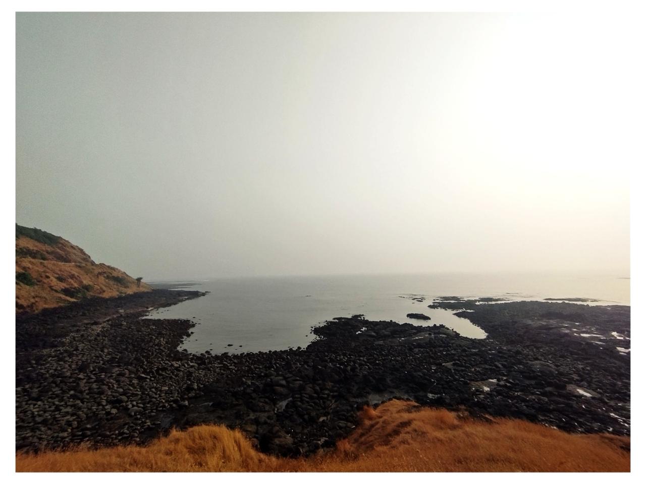 Rocky coast seen from a cliff — hazy sea, golden grass in the foreground