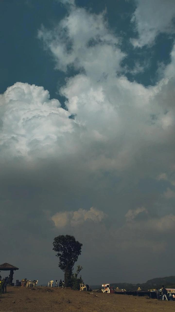 Cumulus tower over a lone tree — open plateau, gathering weather