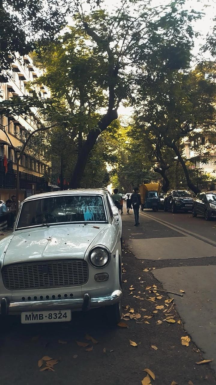 Vintage Fiat on a tree-lined street — fallen leaves, low morning light