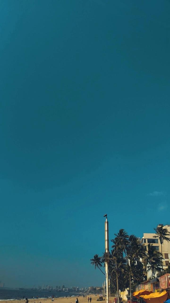 Beachfront under a deep blue sky — palms and a distant skyline